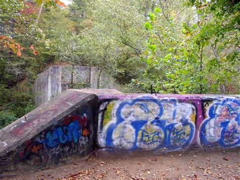 dawson forest history.